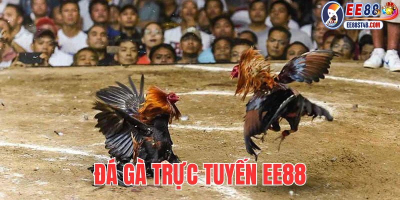 ảnh đại diện đá gà trực tuyến