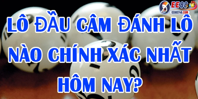 Khái niệm lô kép